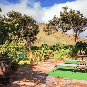 live-buenavista-el-palmar.in-canary-islands.com/